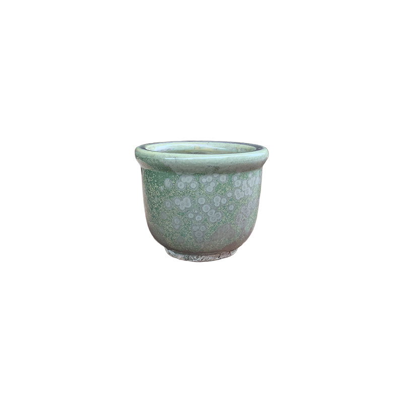 Xanh Lá Trổ