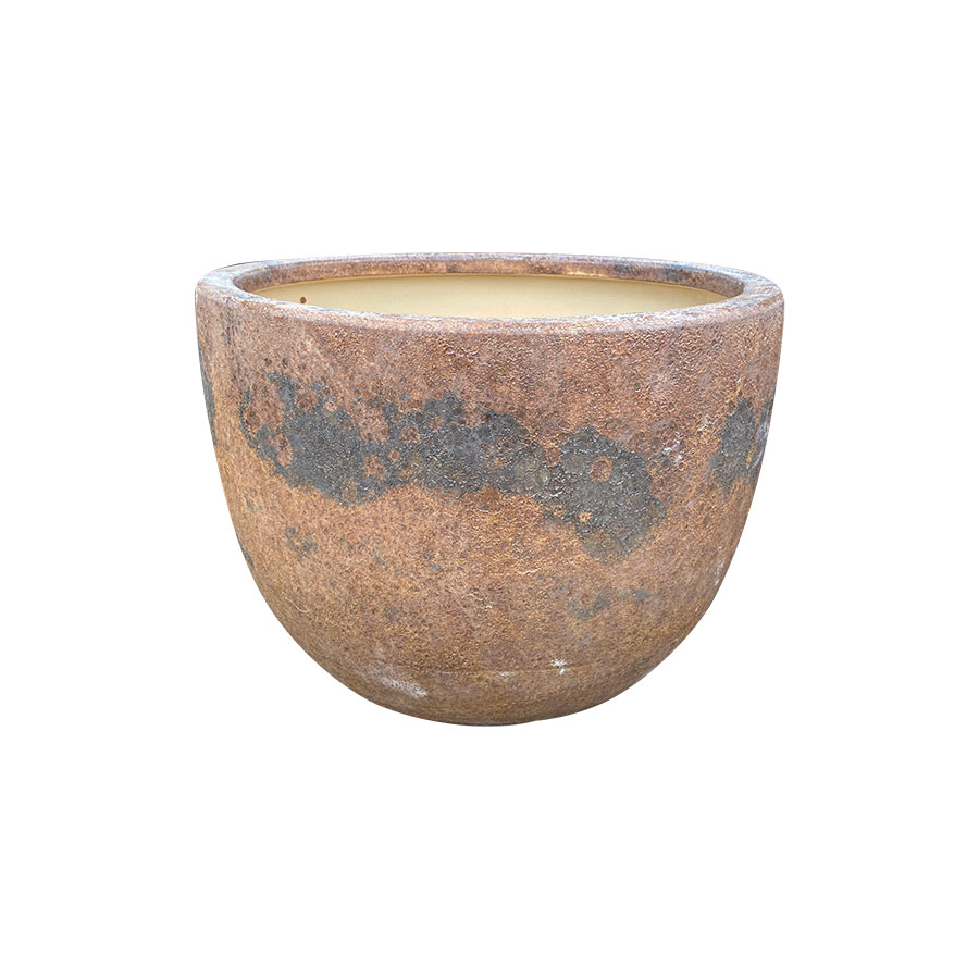 Nâu Đồng