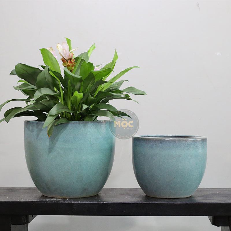 3443 OD Trứng 29x29x24 Xanh Rêu