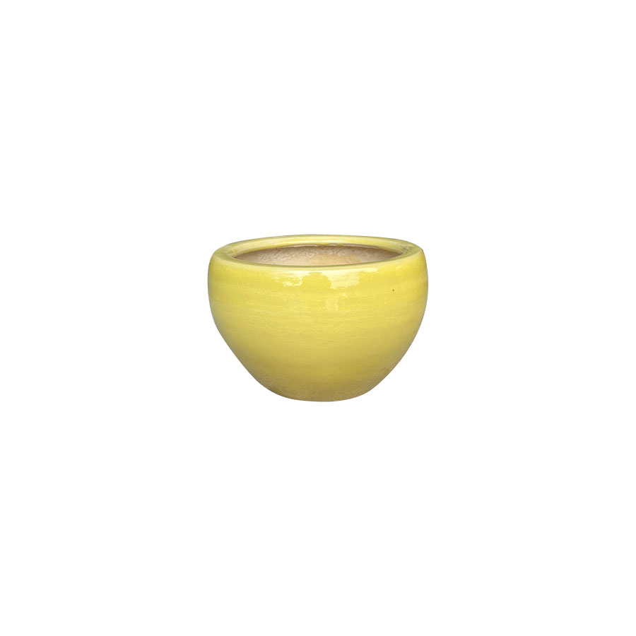 4250 ID Tô Thấp 16x16x11
